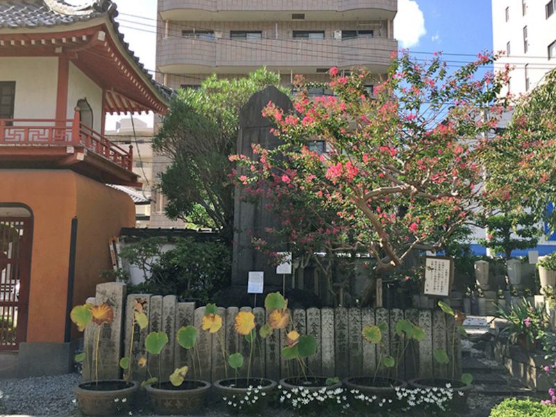 九島院