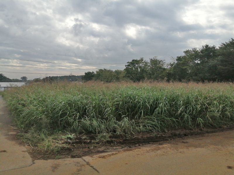 宇那谷町共同墓地