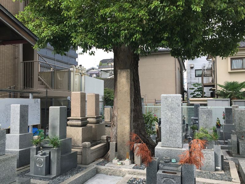 花川墓地