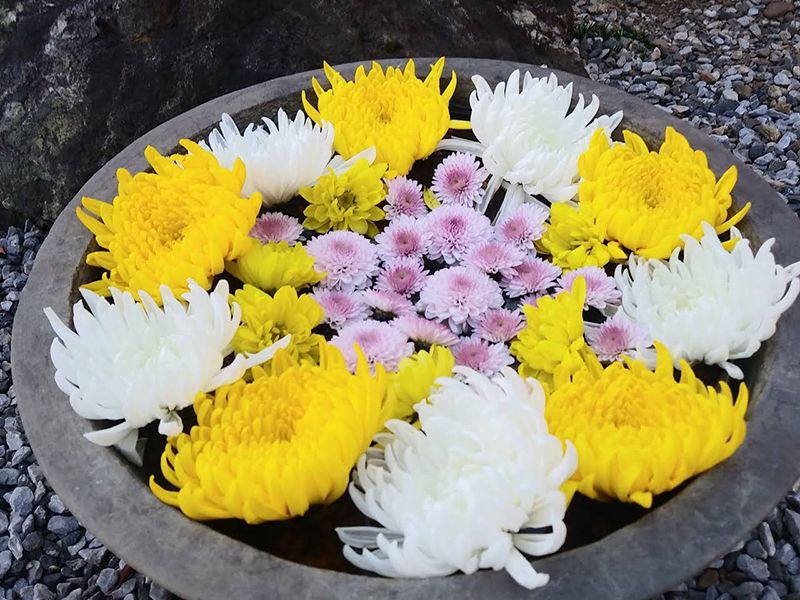 メモリーガーデンあじさいの杜霊園