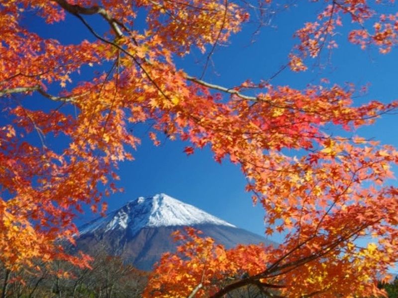 メモリーガーデン 彩の杜霊園