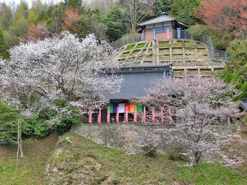金剛院 永代供養墓「阿字のふる里」