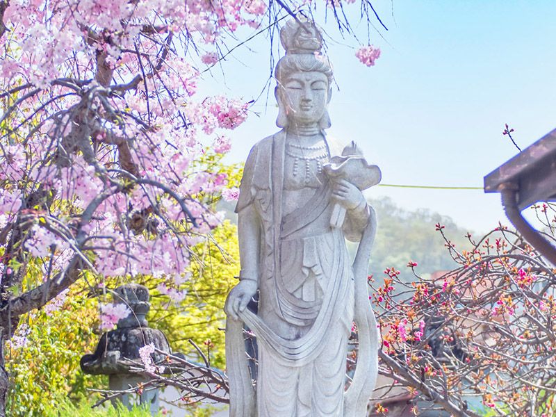 法華寺