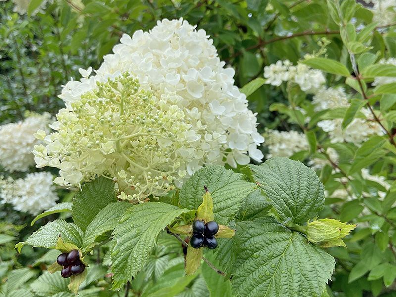 東勝寺 のうこつぼ