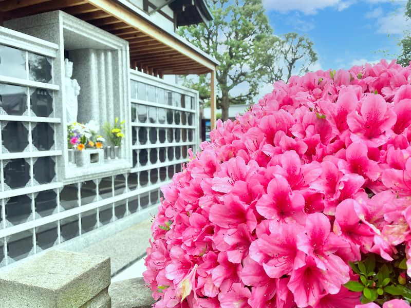 台東区谷中永代供養・樹木葬霊園 観音寺