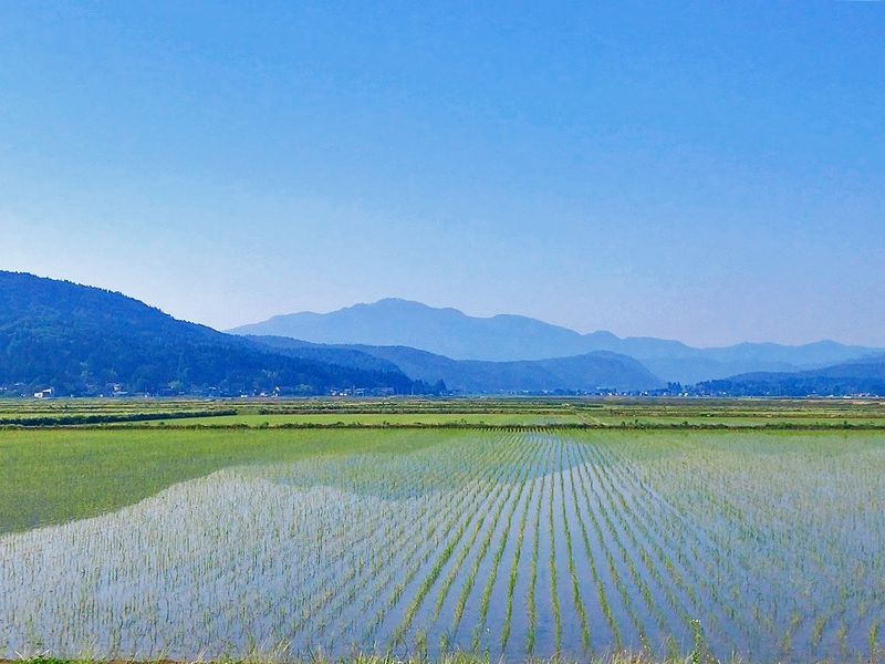 龍雲寺 納骨堂 永代供養墓 成澤 地蔵廟所
