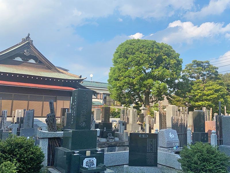 遍照寺