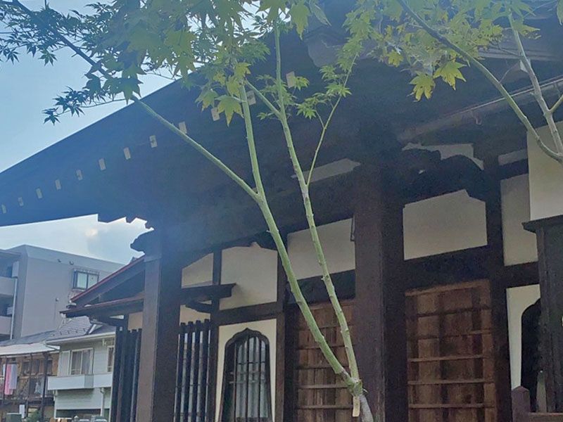 遍照寺