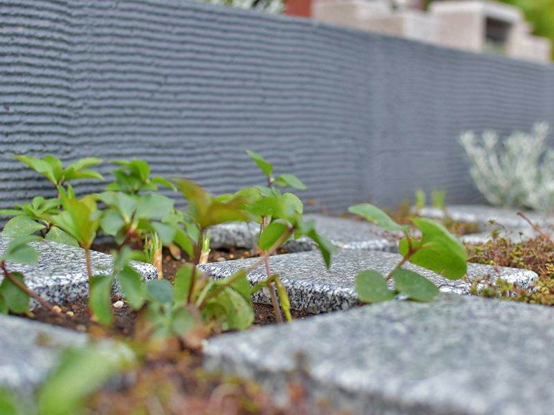 金沢八景令和の杜