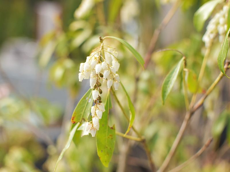 金沢八景令和の杜
