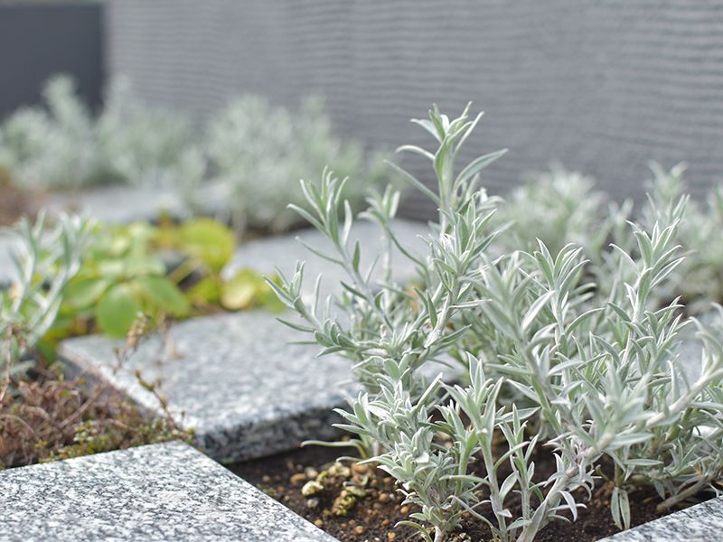 金沢八景令和の杜