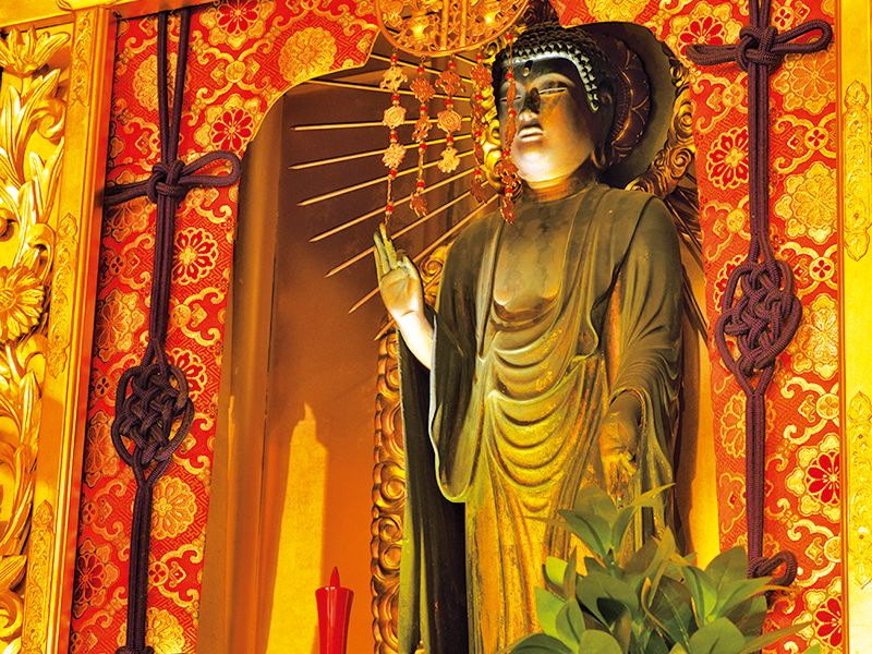 麻布称名寺　庭苑墓・樹木葬・合同墓