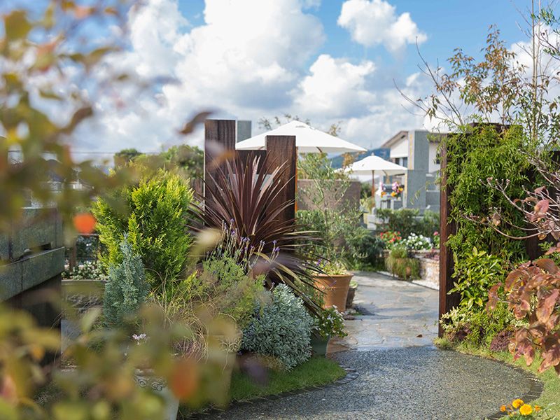 エントランスにオリーブの木