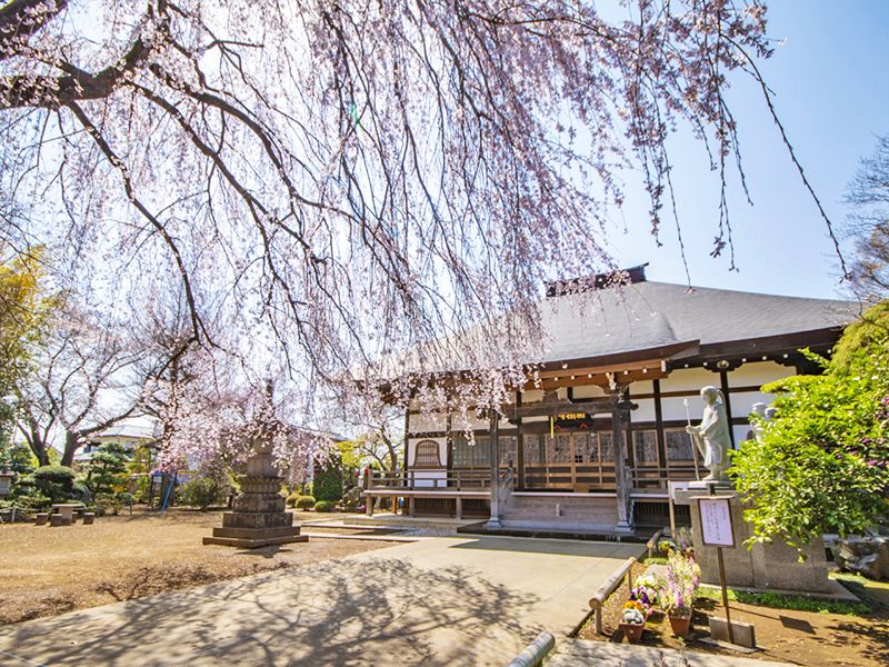 相頓寺墓苑