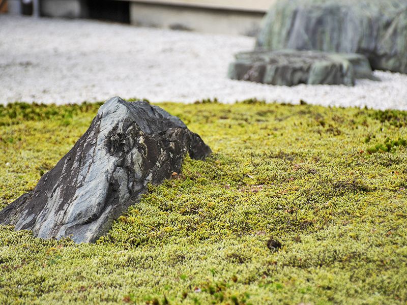 静岡永代供養墓霊園 普済寺