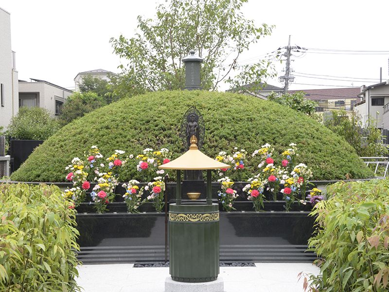 うしろの桜の苗木の成長もおたのしみください