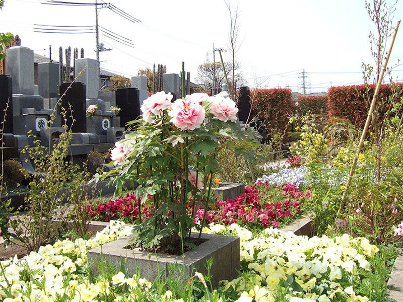 花の美しい苑内