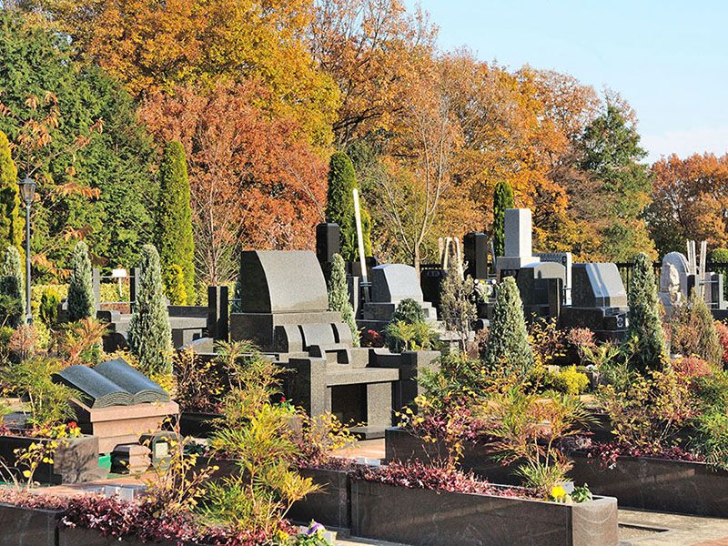 秋には紅葉が見られます