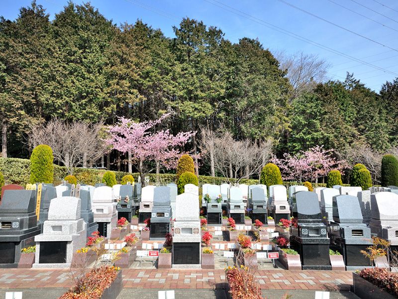 特選区画好評受付中