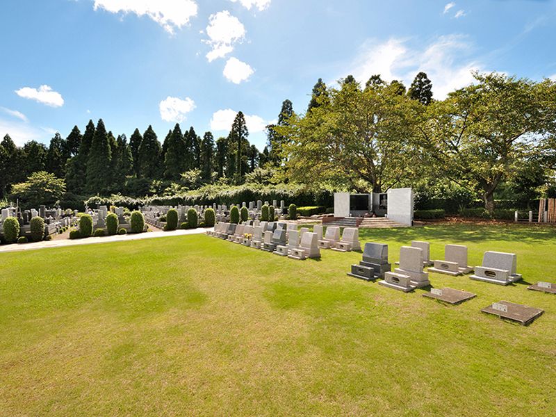 青々とした芝生