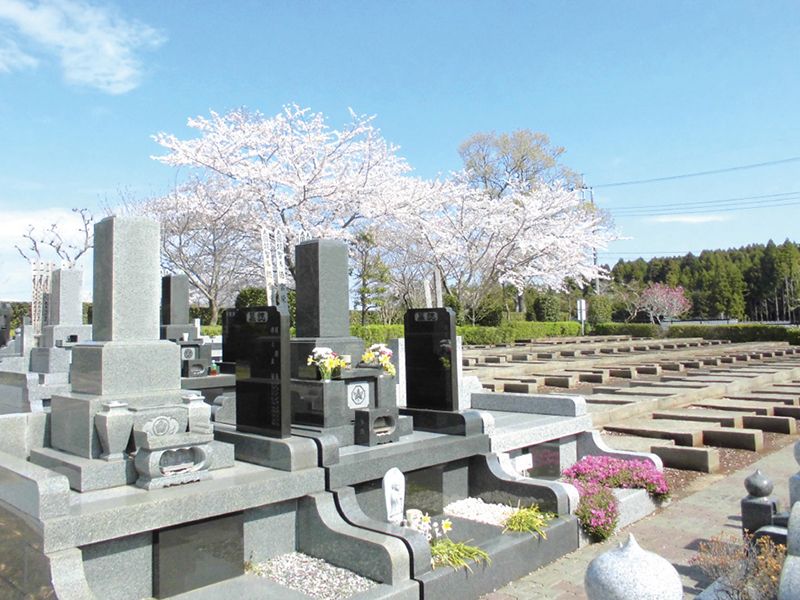 一般墓地