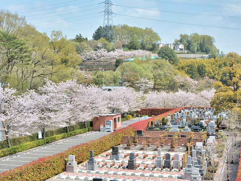 お求めやすい価格帯が人気「やすらぎ区」