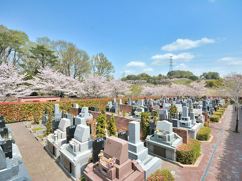 桜に包まれる美しい「やすらぎ区」