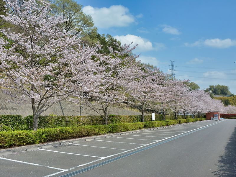 「やすらぎ区」駐車場