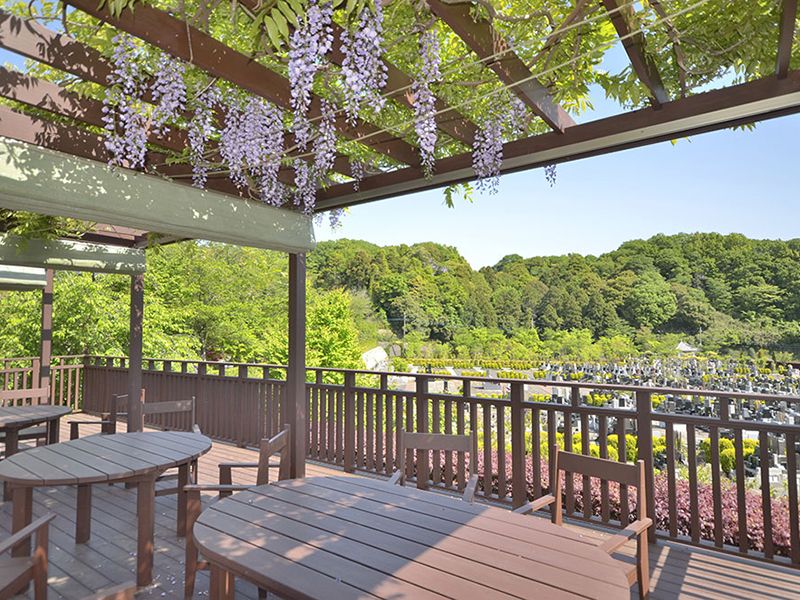 藤棚テラス