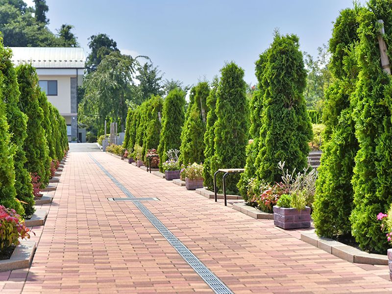 水捌けの良い参道