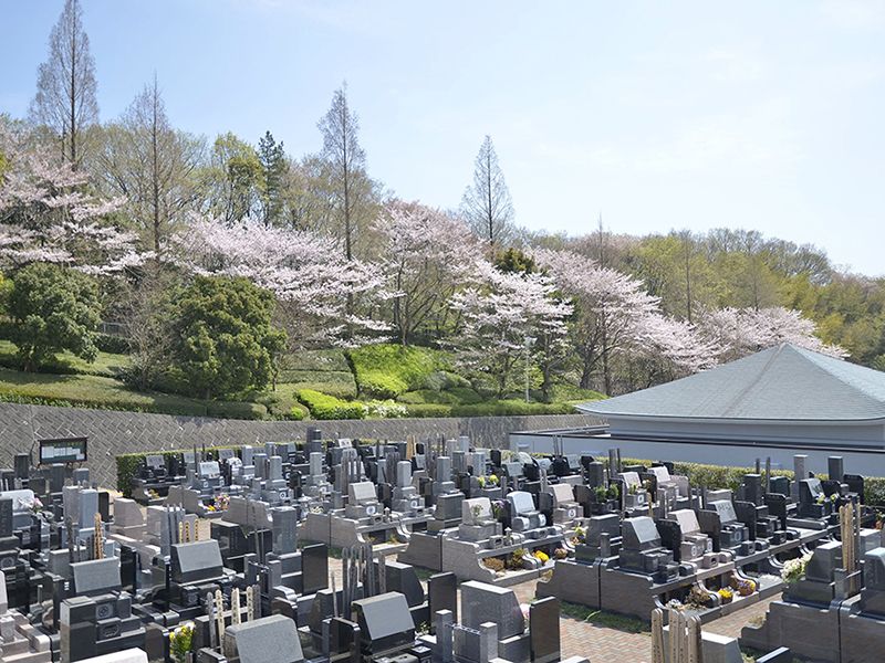 春には桜が見られます