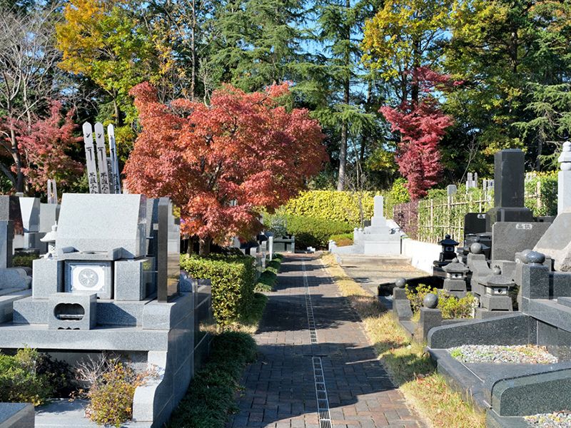 紅葉に彩られる秋の緑山霊園