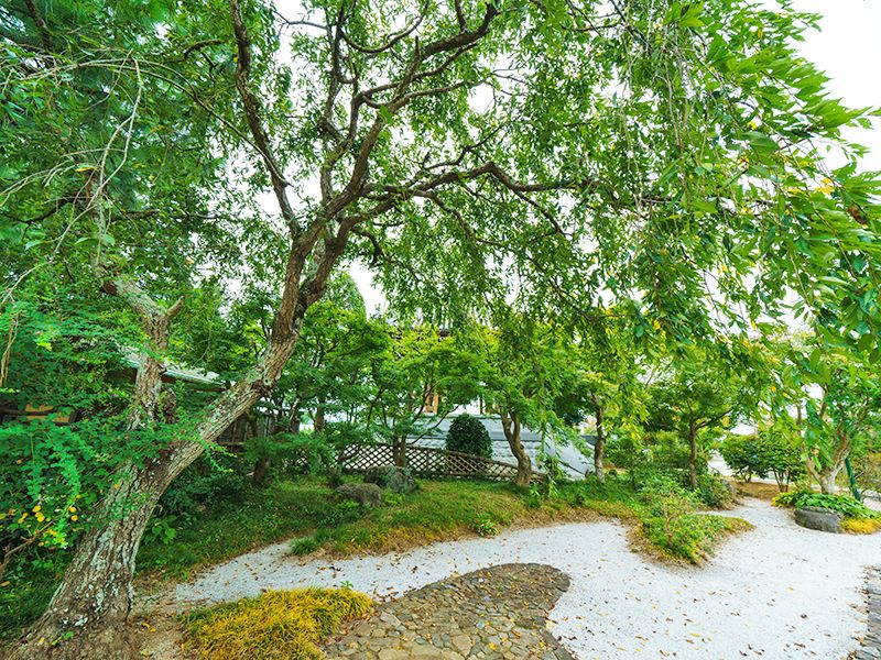 ガーデニング永代供養樹木葬 守谷さくら廟