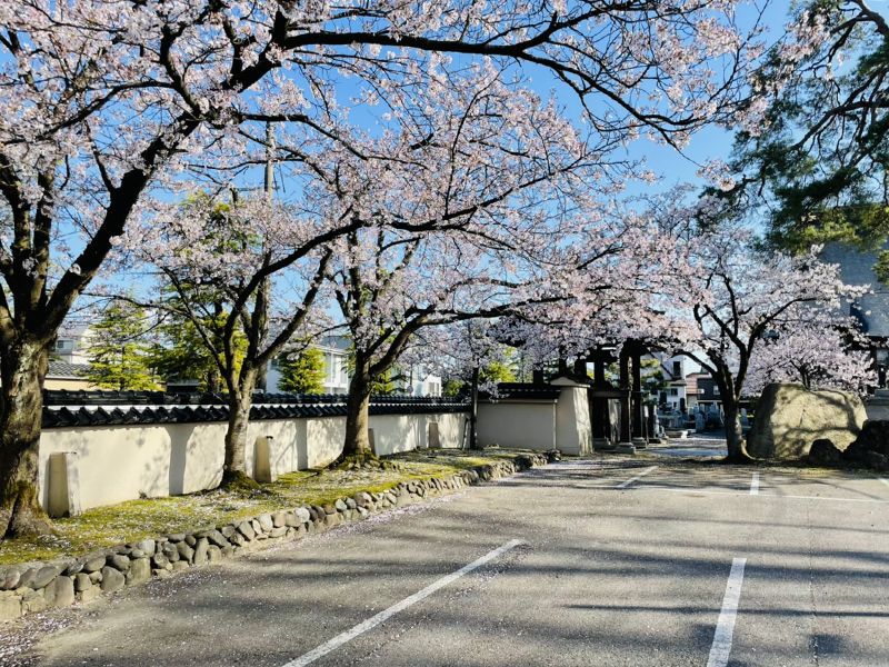 西蓮寺 のうこつぼ