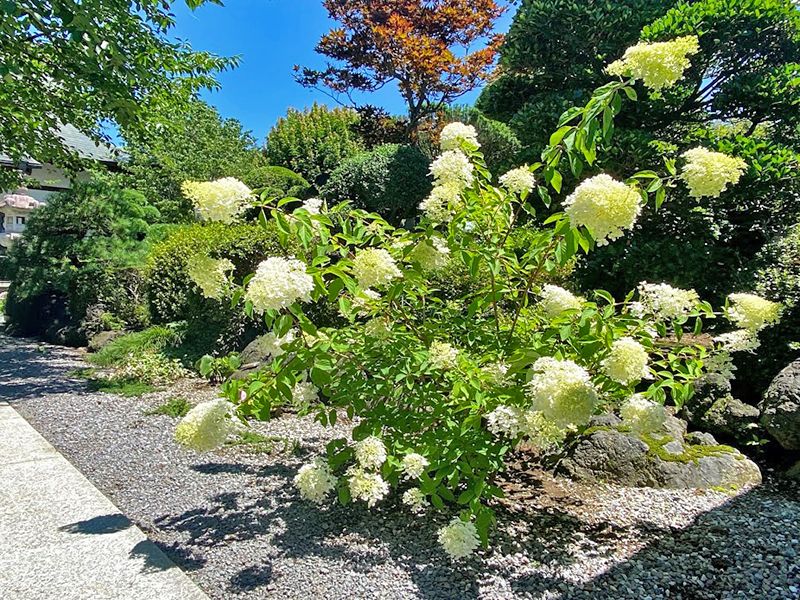 萬福寺 のうこつぼ