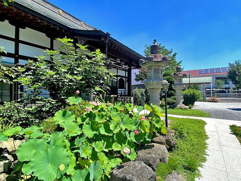 萬福寺 のうこつぼ