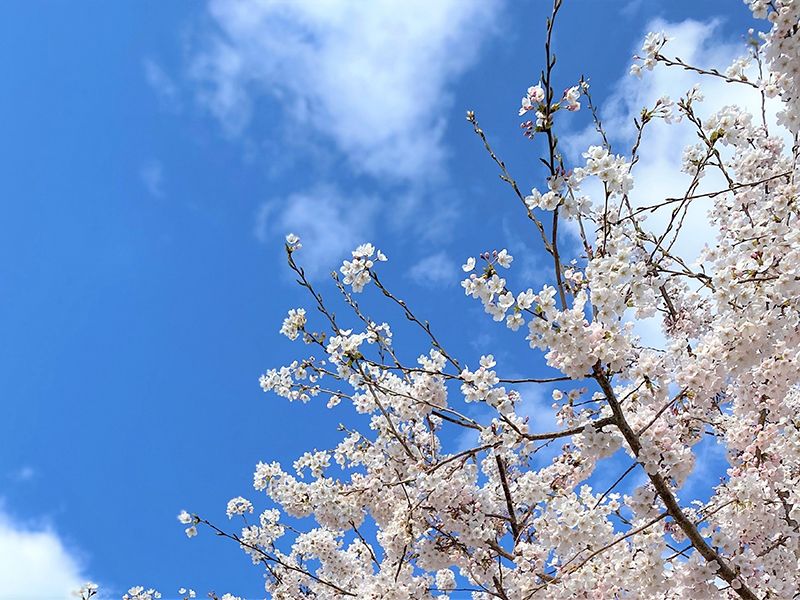 神戸聖地霊園