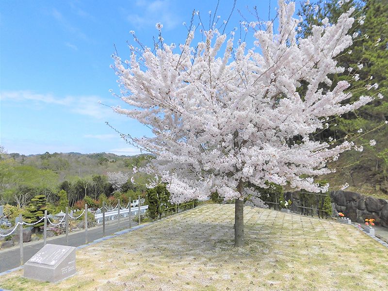 神戸聖地霊園