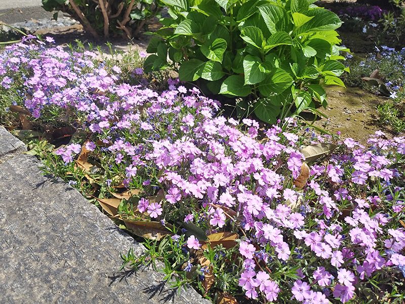 メモリーガーデンあじさいの杜霊園