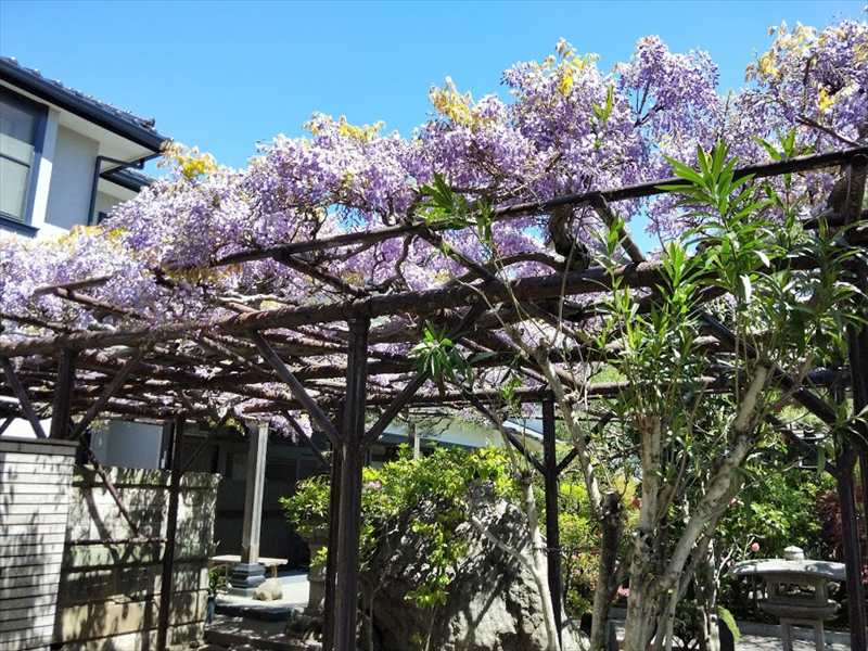 不動院 のうこつぼ