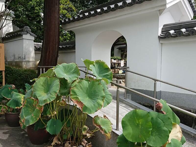 発志院墓地バリアフリーの坂