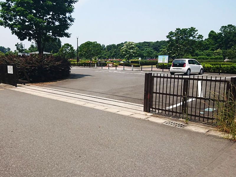 代の下共同墓地