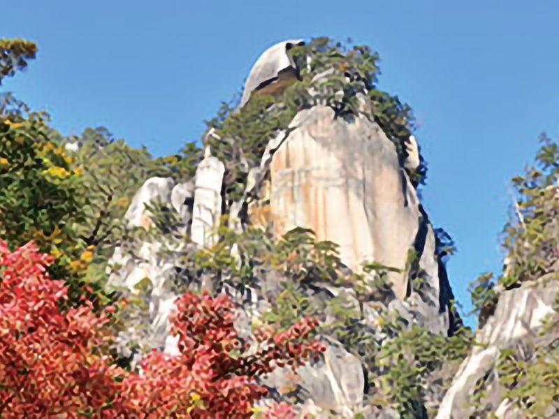 甲府フラワージュ