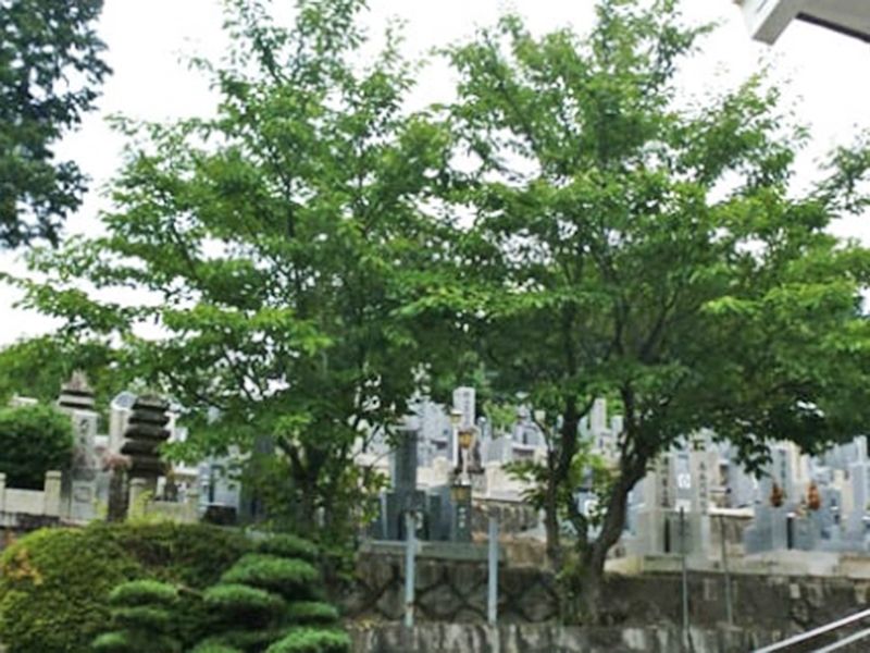 光台寺霊園