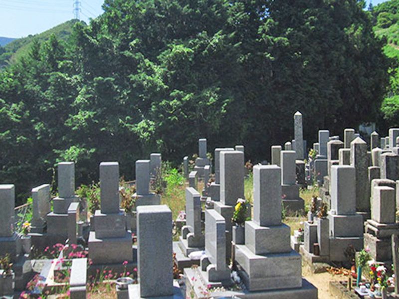 南河内郡河南町 上河内墓地