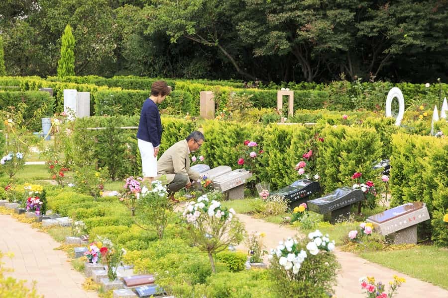 大阪メモリアルパークの樹木葬