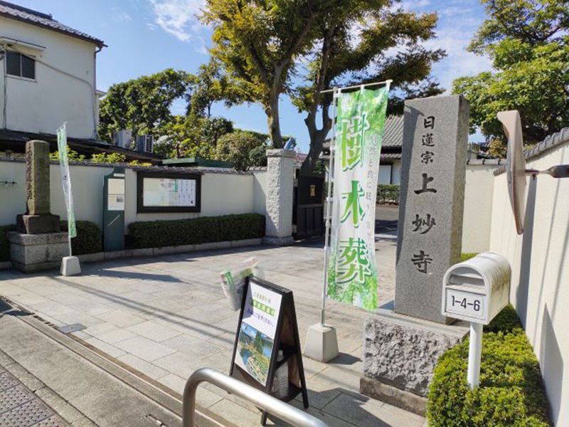 江東慈恩の庭