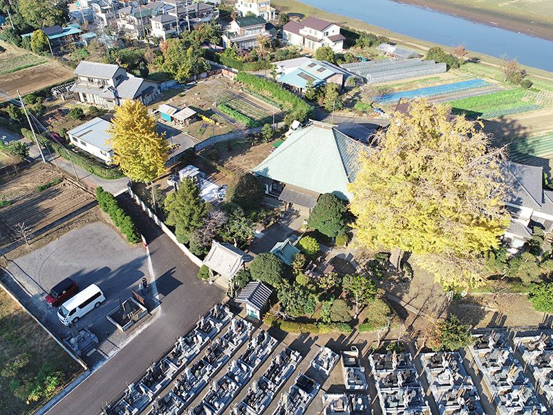 越谷大イチョウ堂