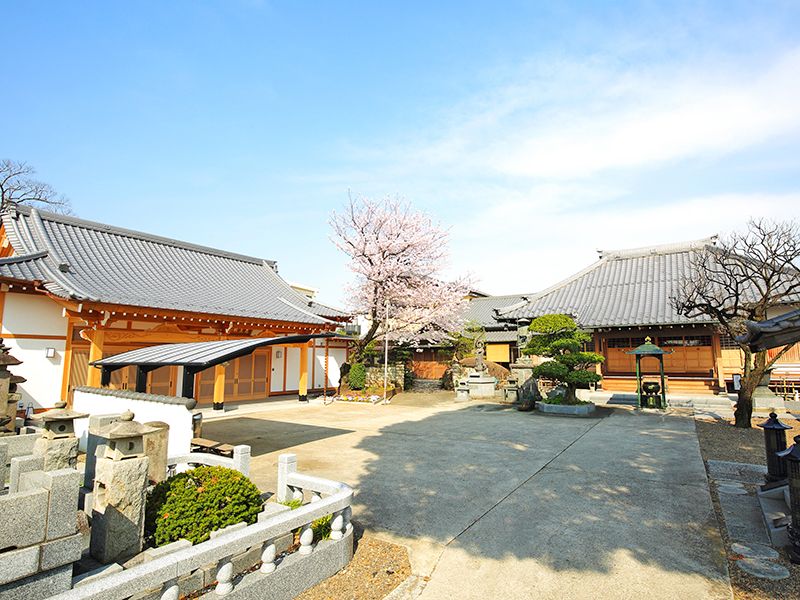 観正院 篠葉の杜