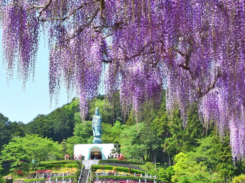 藤枝霊園